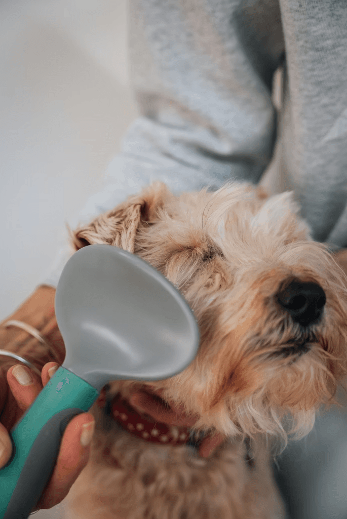 Pet Tech & Essentials